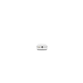 TP-Link Omada EAP110-Outdoor - borne d'accès sans fil - Wi-Fi