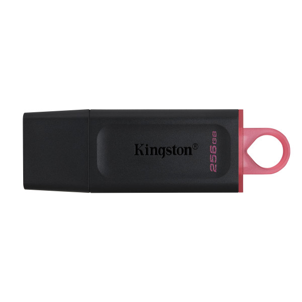 Kingston DataTraveler Exodia   - clé USB - 256 Go *  DTX 256GB *