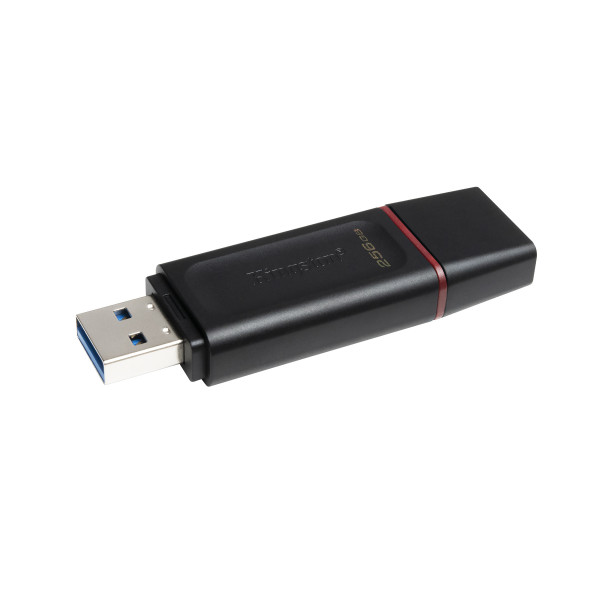 Kingston DataTraveler Exodia   - clé USB - 256 Go *  DTX 256GB *