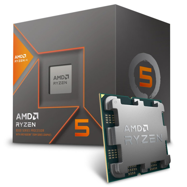 Processeur AMD Ryzen 5 8600G / 5.0 GHz processeur - Box AM5