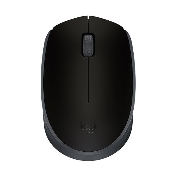 Souris optique sans fil -Logitech Wireless Mouse M171 Noir