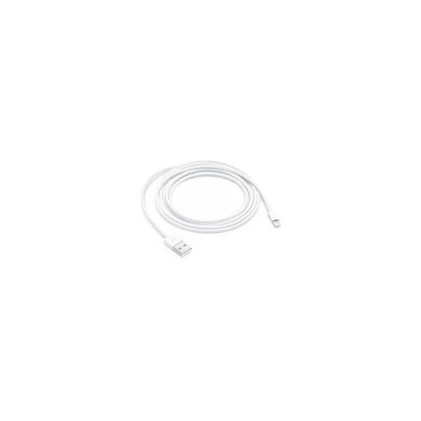 Apple câble Lightning - Lightning / USB - 2 m * MD819ZM/A *